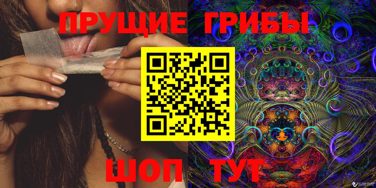 Псилоцибиновые грибы Psilocybe Гулькевичи