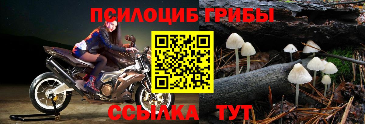 Гулькевичи  Псилоцибиновые грибы GOLDEN TEACHER  Вход с VPN 